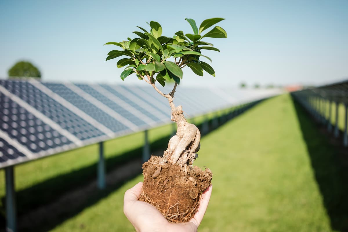 Solaranlage betreiben auf Mallorca: Solarenergie im Paradies nutzen